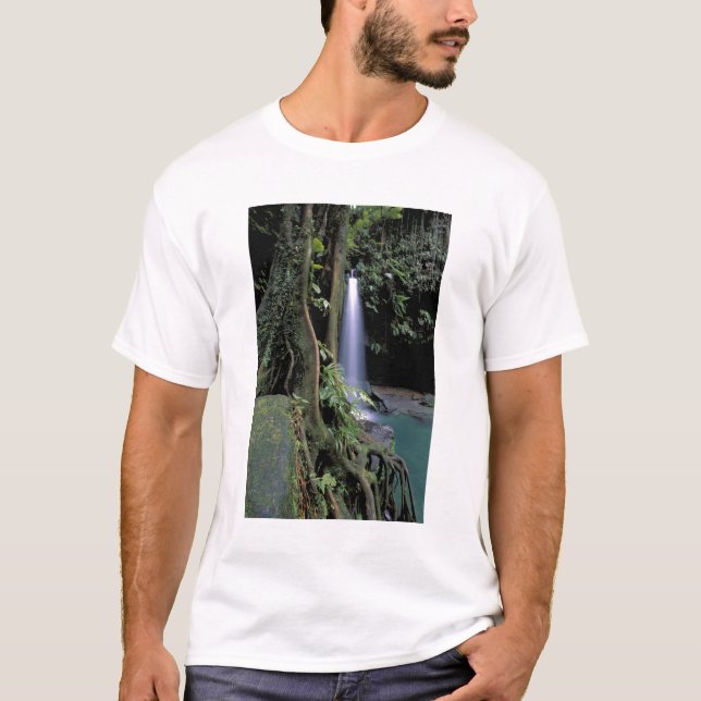 Dominica, Emerald Pool, Wasserfall. T-Shirt (Vorderseite)