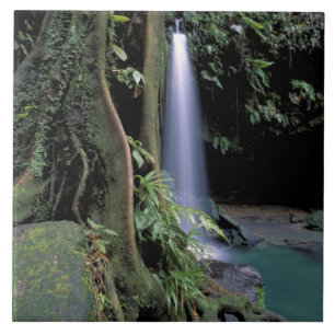 Dominica, Smaragdpool, Wasserfall. Fliese