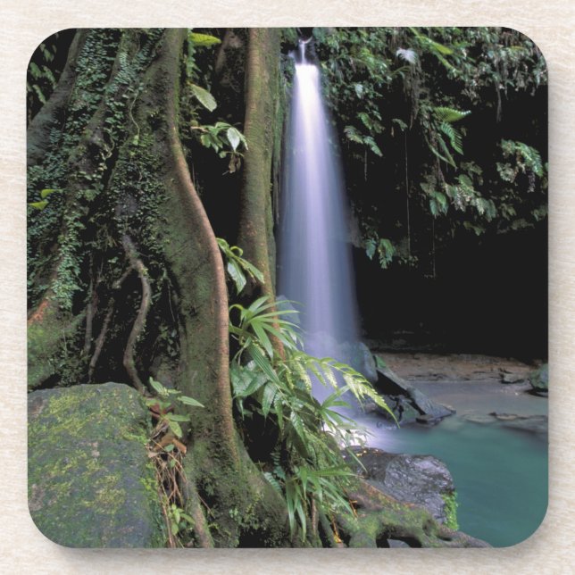 Dominica, Smaragdpool, Wasserfall. Getränkeuntersetzer (Vorderseite)