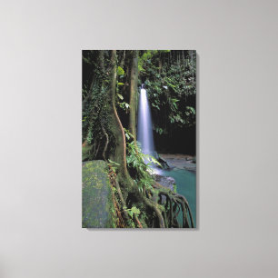 Dominica, Smaragdpool, Wasserfall. Leinwanddruck