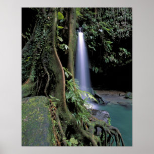 Dominica, Smaragdpool, Wasserfall. Poster