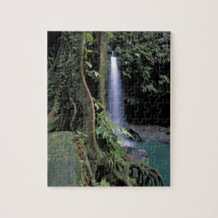 Dominica, Smaragdpool, Wasserfall. Puzzle