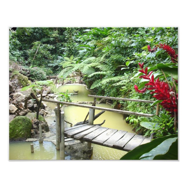 Dominica-Sulpher-Pools Fotodruck (Vorne)