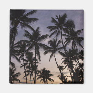 Dominikanische Republik, Halbinsel Samana, Las 2 Magnet