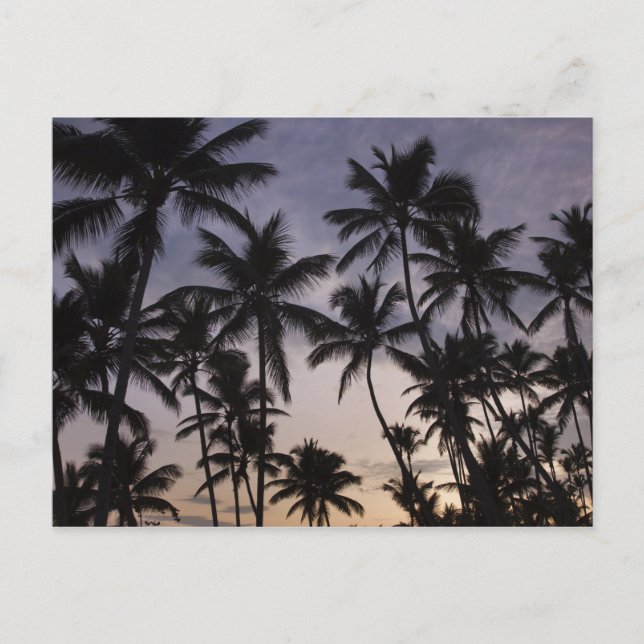 Dominikanische Republik, Halbinsel Samana, Las 2 Postkarte (Vorderseite)