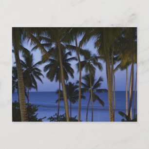 Dominikanische Republik, Halbinsel Samana, Las Postkarte