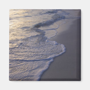 Dominikanische Republik, Karibik, Punta Cana, 2 Magnet