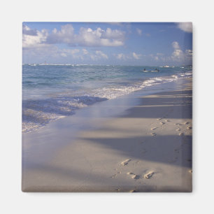 Dominikanische Republik, Karibik, Punta Cana, 4 Magnet