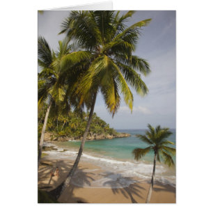 Dominikanische Republik, Nordküste, Abreu, Playa