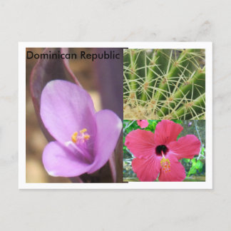 Dominikanische Republik Postkarte