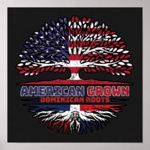 Dominikanische Republik USA Vereinigte Staaten Sta Poster