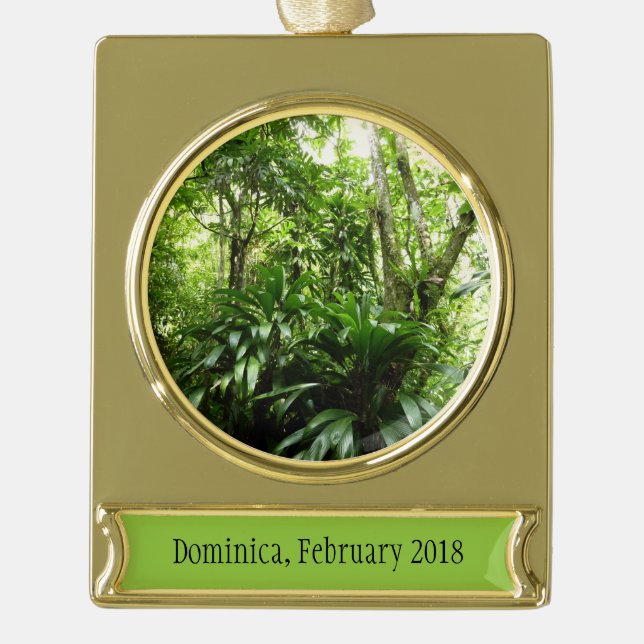 Dominikanischer Regenwald I Tropische Natur Banner-Ornament Gold (Vorderseite)