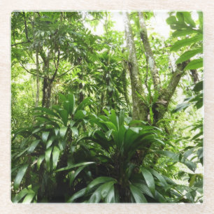 Dominikanischer Regenwald I Tropische Natur Glasuntersetzer