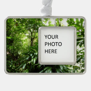 Dominikanischer Regenwald I Tropische Natur Rahmen-Ornament Silber