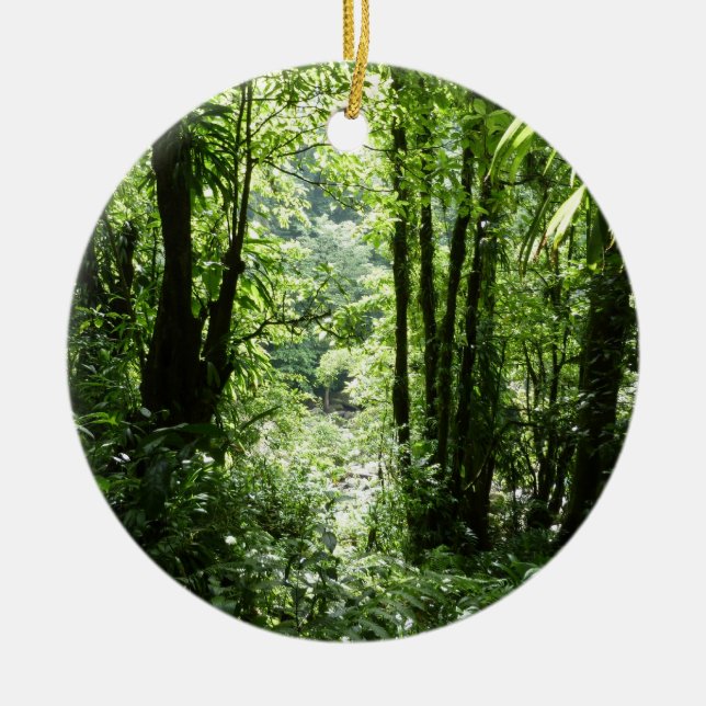 Dominikanischer Regenwald II Tropengrün Keramikornament (Vorne)