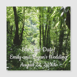 Dominikanischer Regenwald II Tropengrün Magnetkarte