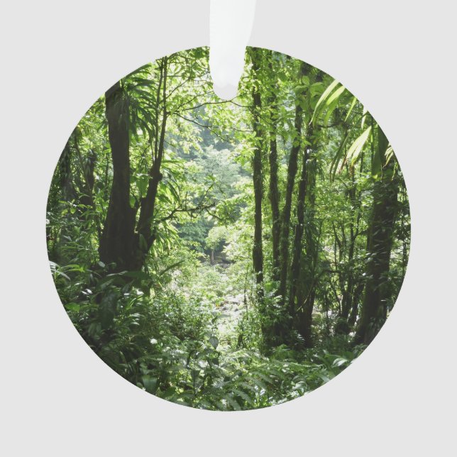 Dominikanischer Regenwald II Tropengrün Ornament (Vorderseite)