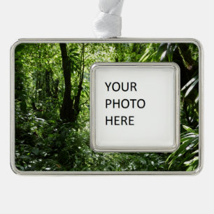Dominikanischer Regenwald II Tropengrün Rahmen-Ornament Silber