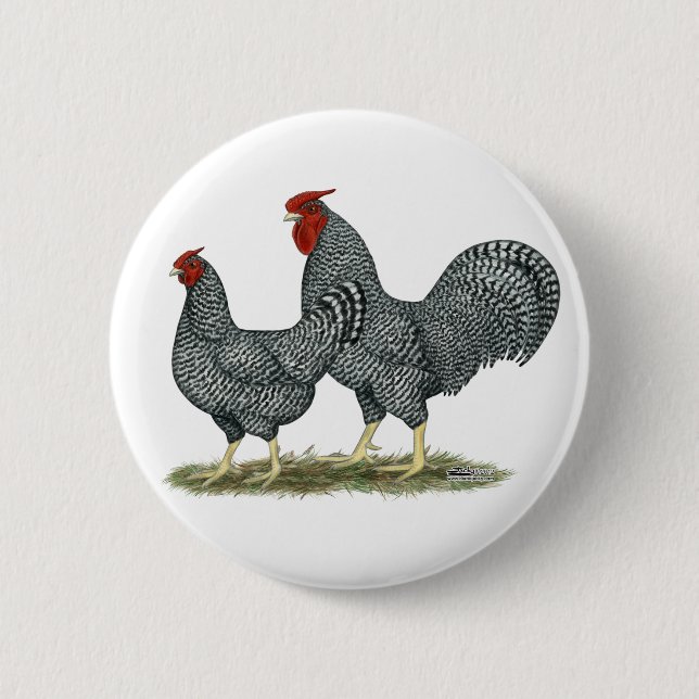 Dominique Chickens Button (Vorderseite)