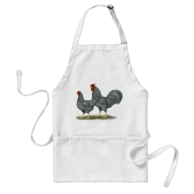 Dominique Chickens Schürze (Vorne)