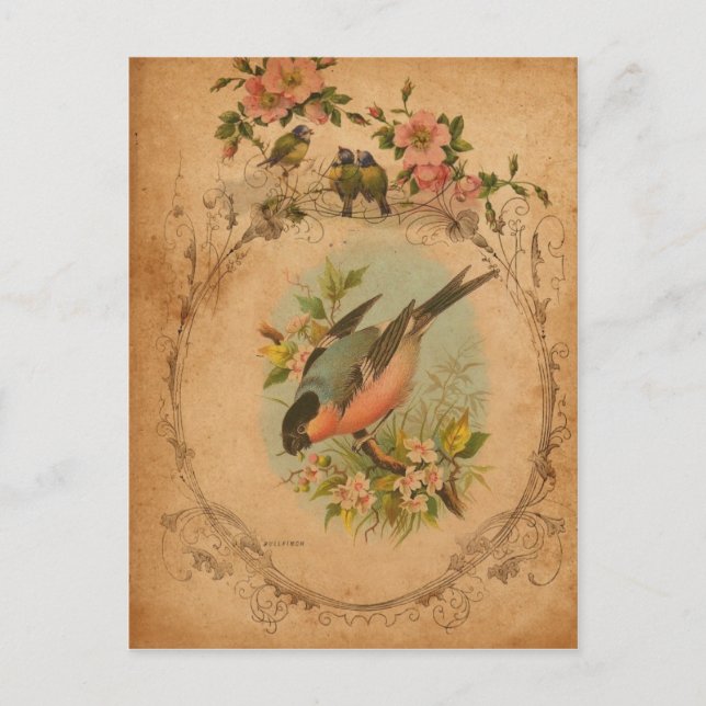 Dompfaff Postkarte (Vorderseite)