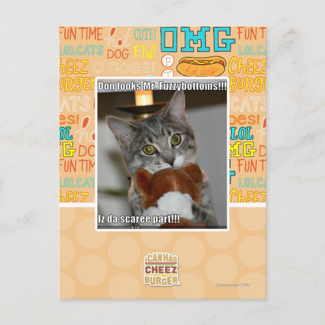 Don look postkarte (Vorderseite)