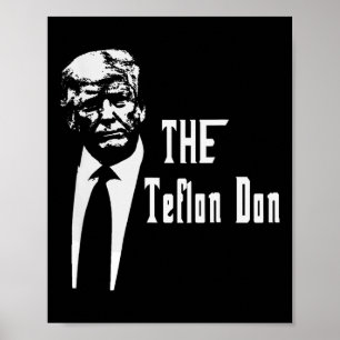 Don Trump Funny Poster