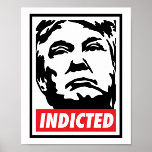 Donald Trump 2023 Poster