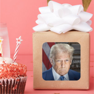 Donald Trump 2025 US-Präsident Portrait Quadratischer Aufkleber