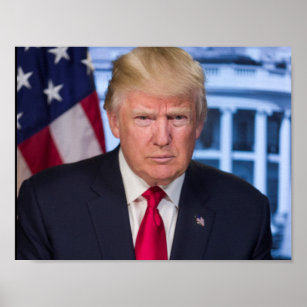 Donald Trump als Präsident Poster
