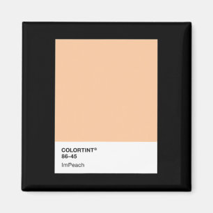Donald Trump anklagen 45 - Farbpalette  Magnet
