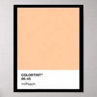 Donald Trump anklagen 45 - Farbpalette