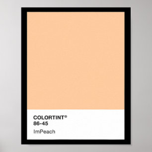 Donald Trump anklagen 45 - Farbpalette Poster
