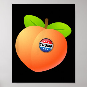 Donald Trump anklagen - Mit Trump-Knopf Anti-Trump Poster