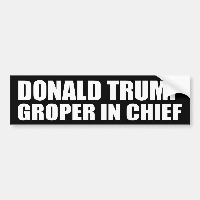 "DONALD TRUMP: GROPER IM LEITER " AUTOAUFKLEBER (Vorne)