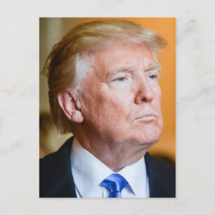 Donald Trump-Portrait Postkarte