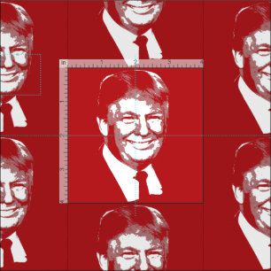 DONALER TRUMP STOFF