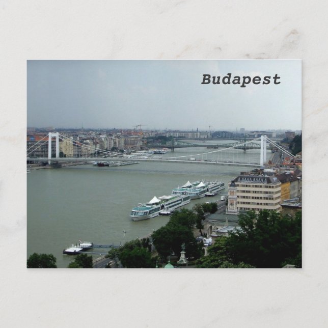 Donaubrücken Postkarte (Vorderseite)