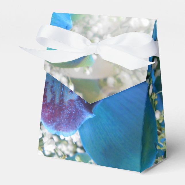 Donella Geschenkschachtel (Vorderseite)