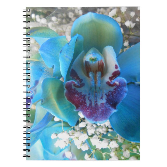 Donella Notizblock (Vorderseite)