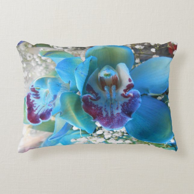 Donella Zierkissen (Vorderseite)