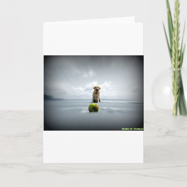 Dongles und ball.jpg feiertagskarte (Vorderseite)