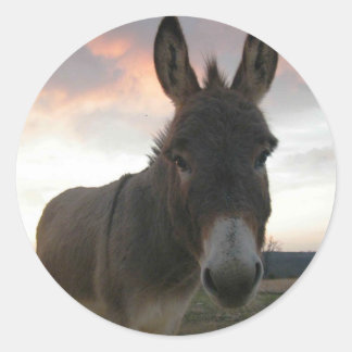 Donkey Art Runder Aufkleber