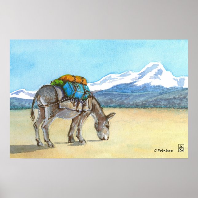 Donkey auf Hochplateau, Südamerika Poster (Vorne)