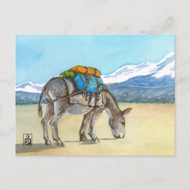 Donkey auf Hochplateau, Südamerika Postkarte (Vorderseite)