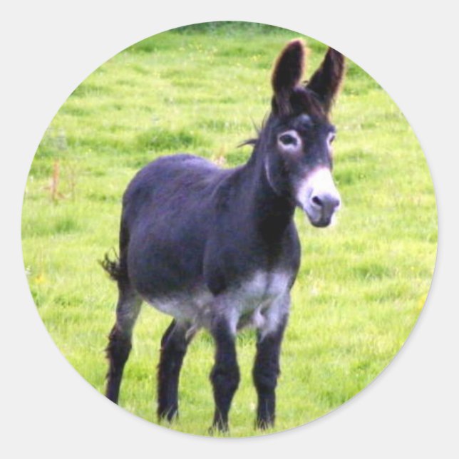 Donkey-Aufkleber Runder Aufkleber (Vorderseite)