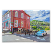 Donkey Begrüßungsausschuss, Cripple Creek Colorado