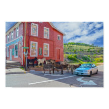 Donkey Begrüßungsausschuss, Cripple Creek Colorado