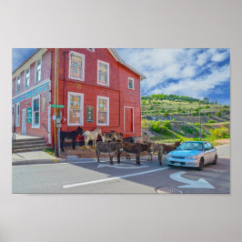 Donkey Begrüßungsausschuss, Cripple Creek Colorado Poster