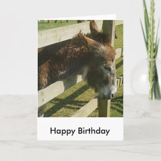 Donkey Birthday Greetings Card Karte